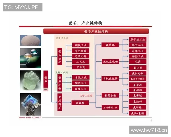 独家解析:WE战队成员个人能力深度对比与分析